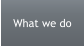 What we do