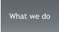 What we do